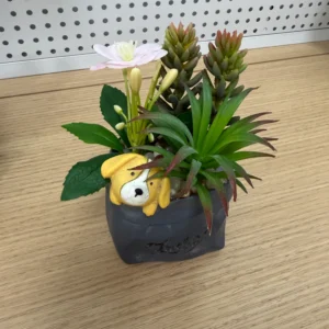 DR0093 (1) profile - Arranjo de Plantas Artificiais