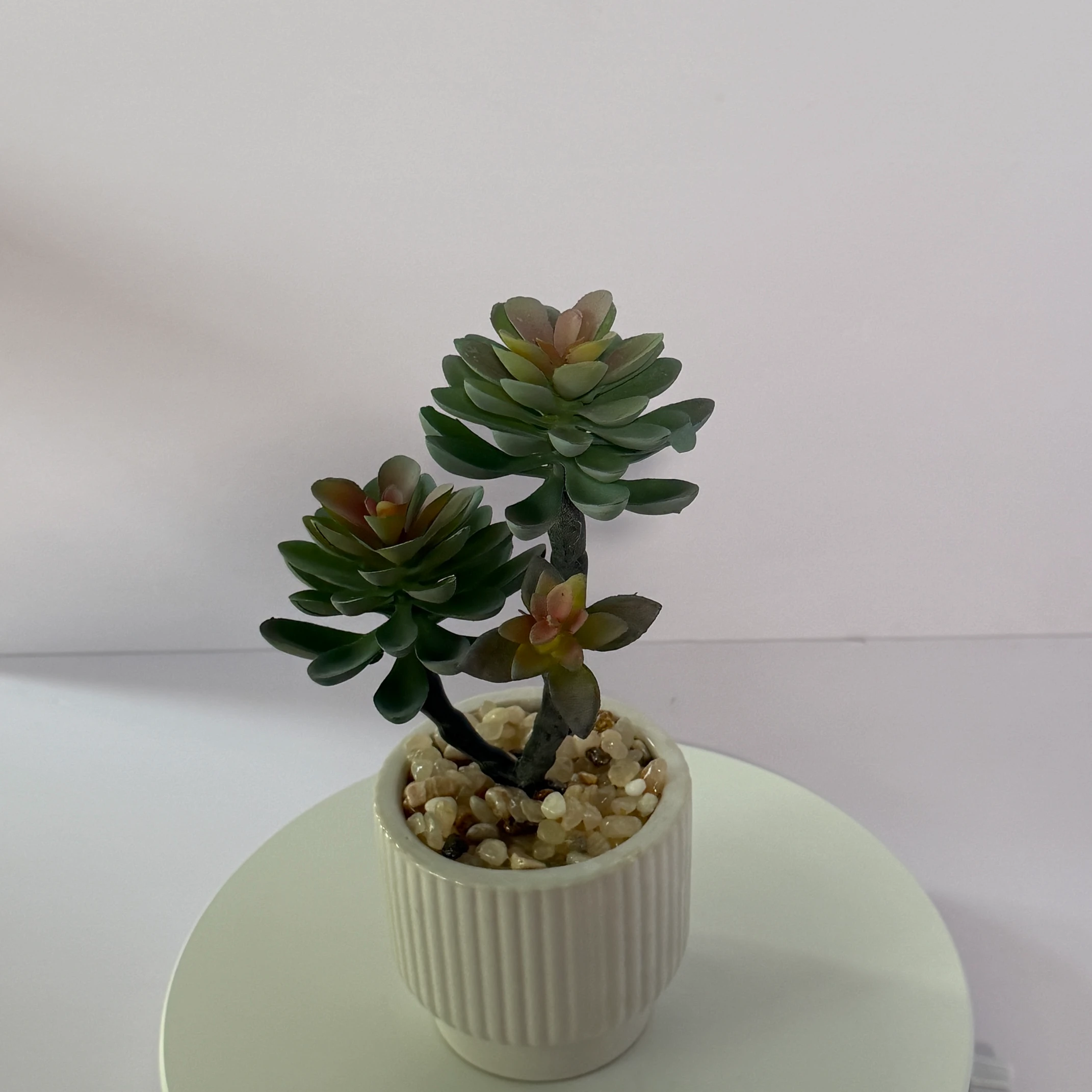 DR0097 (4) - Suculentas Artificiais Realistas