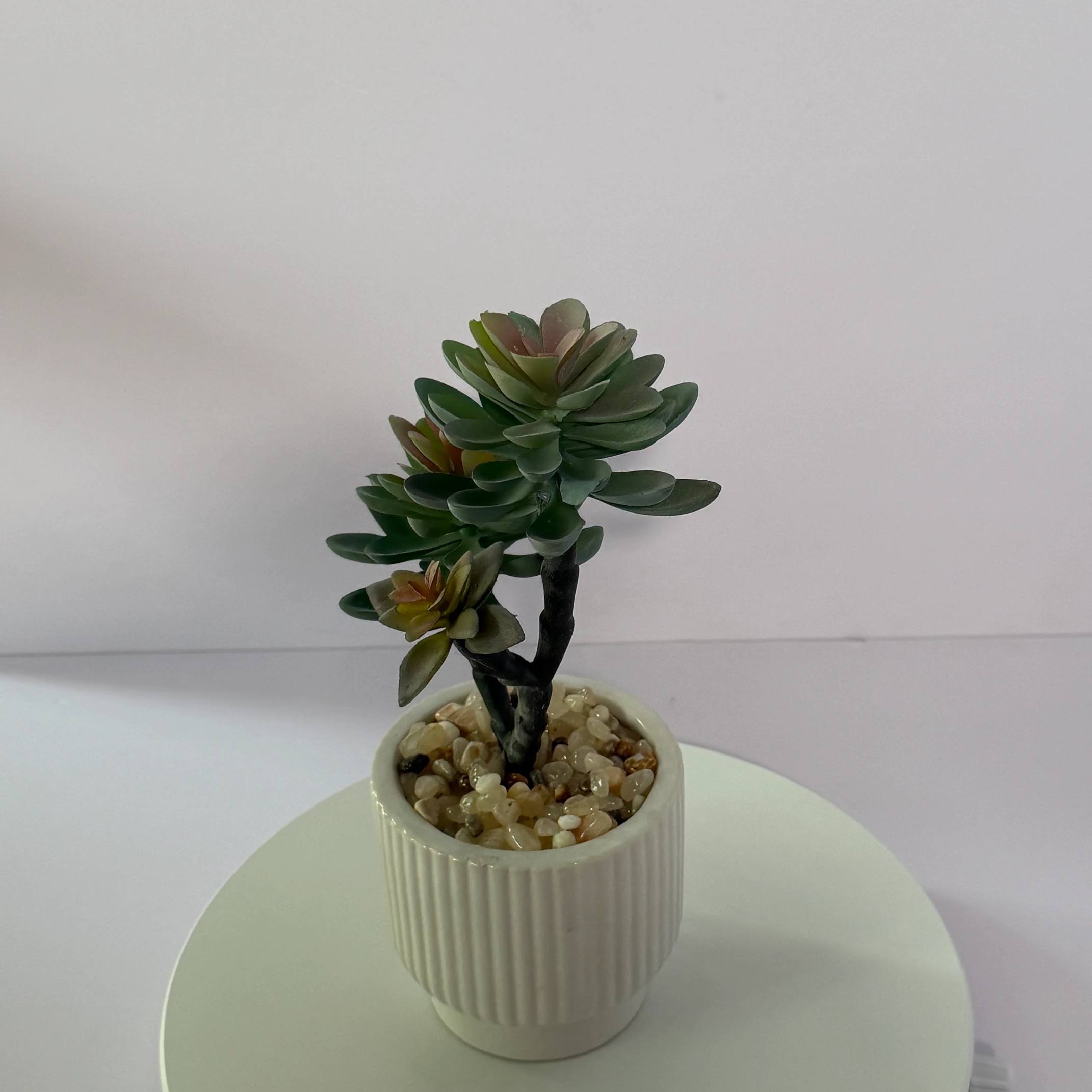 DR0097 (5) - Suculentas Artificiais Realistas