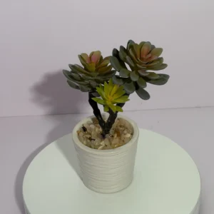 DR0101 (3) Suculenta Jade Artificial em Vaso de Cerâmico Branco
