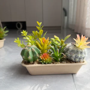 DR0107 (3) Cacto Artificial com Vaso de Fibra de Bambu