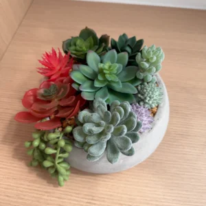 DR0111 (4) Suculentas de Plástico em Vaso de Cimento Cinza