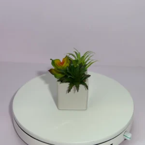 DR0122 (3) Suculenta Artificial na Shopee em Vaso Cerâmico Branco