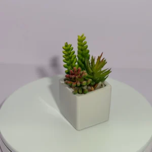 DR0125 (5) Suculenta Artificial Pendente Pequena em Vaso Cerâmico Branco