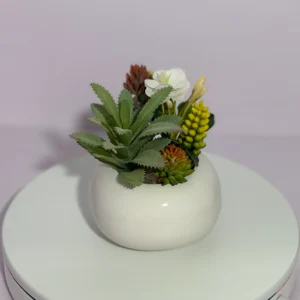 DR0128 (1) Arranjo de Suculentas com Frutos Amarelos