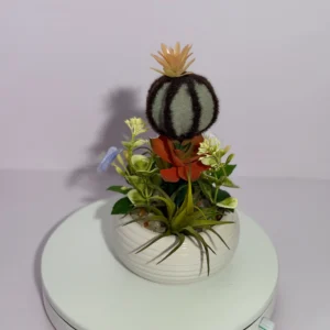 DR0133 (3) Arranjo de Cacto e Suculentas com Flores Coloridas