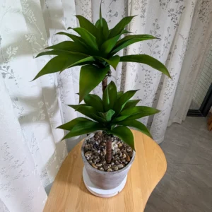 DR0153 (1) Planta Artificial de Pé Alto