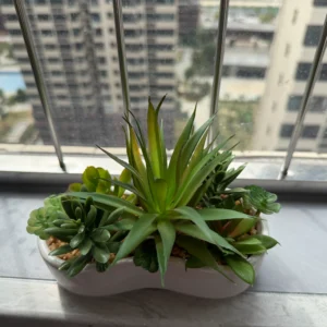 DR0155 (1) Arranjo de Suculentas Artificiais com Agave