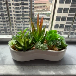 DR0157 (1) Arranjo de Suculentas Artificiais