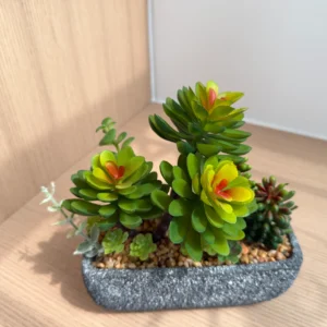 DR0158 (6) Bonsai Artificial de Suculentas