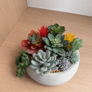 DR0161 (3) Planta Artificial Suculenta