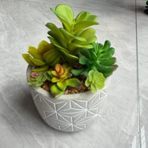 DR0162 (1)Planta Artificial Suculenta Decorativa
