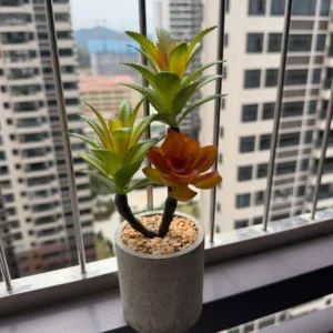 DR0164 (1)Planta Artificial Suculenta para Decoração