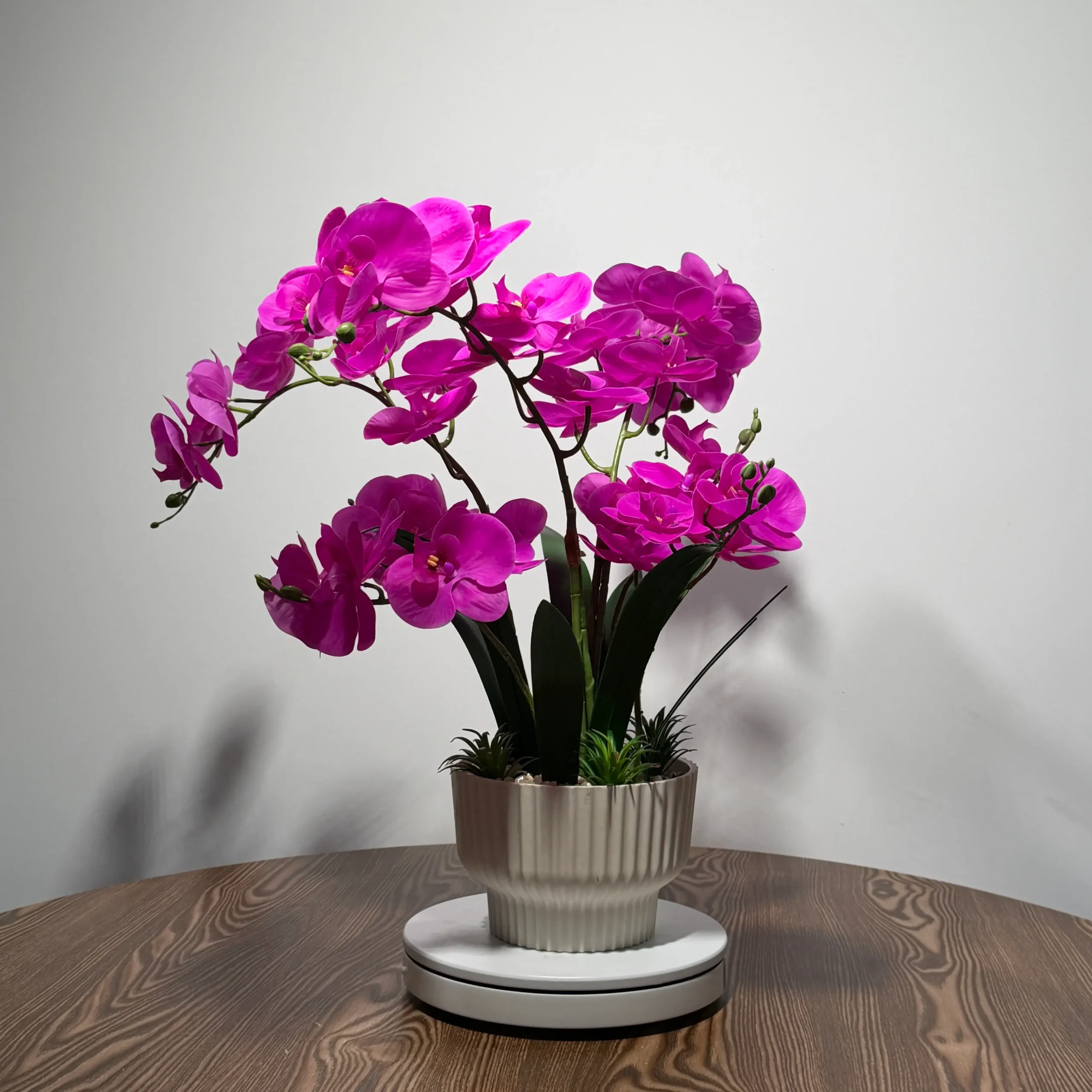 HD0021 (2) - Orquídea Artificial Fucsia en Maceta Cerámica Blanca