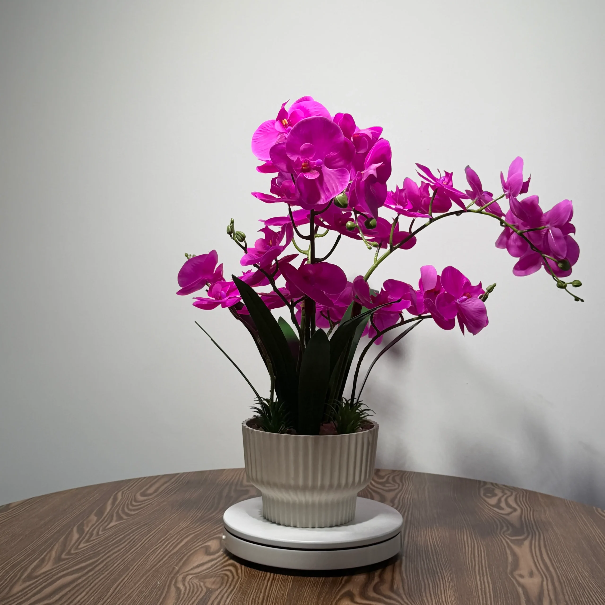 HD0021 (3) - Orquídea Artificial Fucsia en Maceta Cerámica Blanca