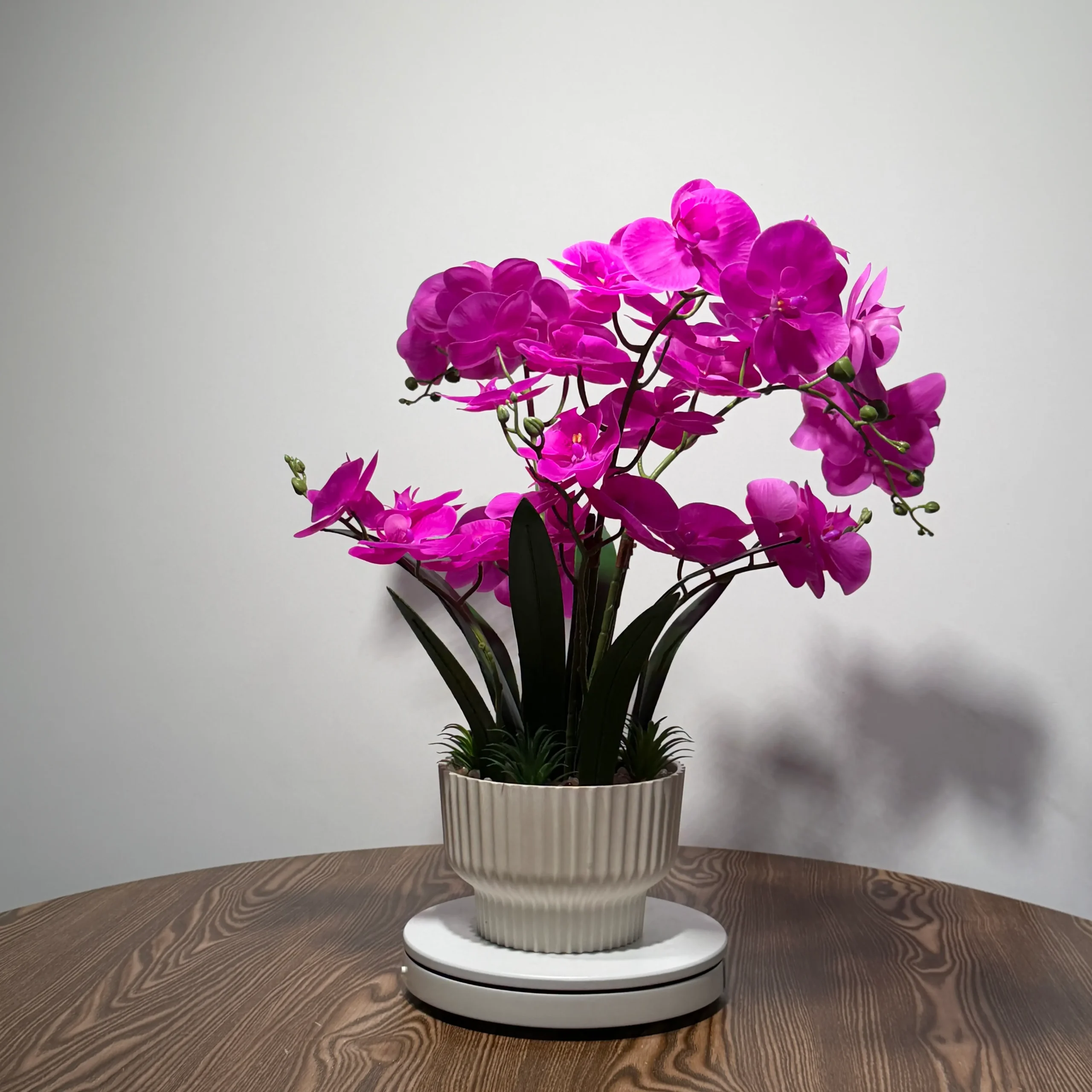 HD0021 (4) - Orquídea Artificial Fucsia en Maceta Cerámica Blanca