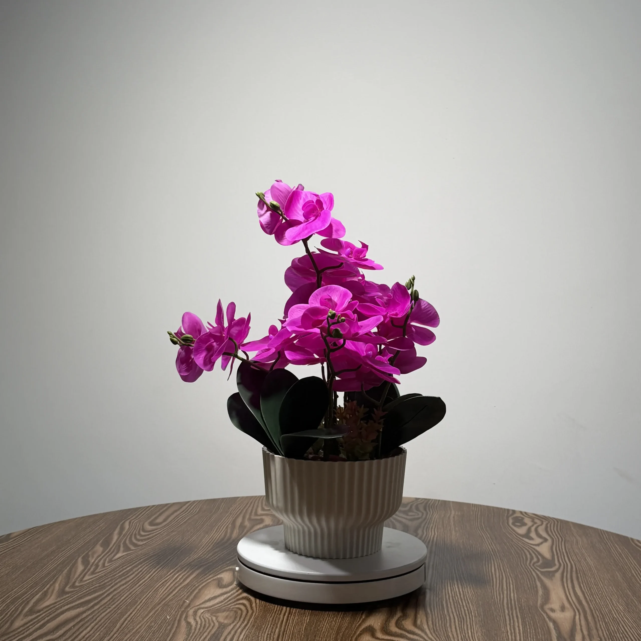 HD0028 (4) - Orquídea artificial fúcsia vibrante