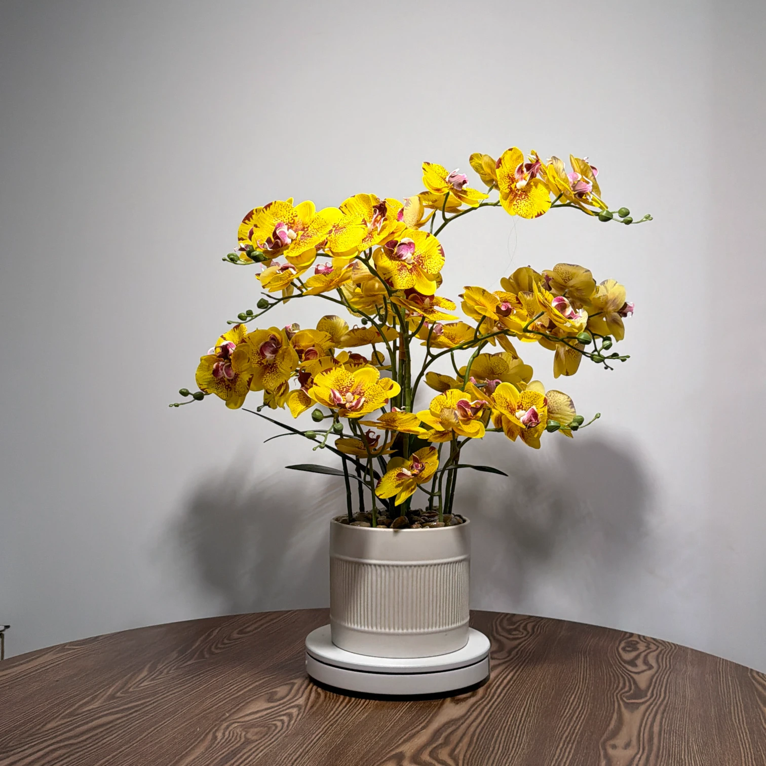 HD0043 (1) - Arranjo de Orquídea Amarela Pontilhada