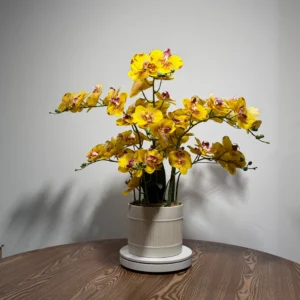 HD0043 (2) profile - Arranjo de Orquídea Amarela Pontilhada