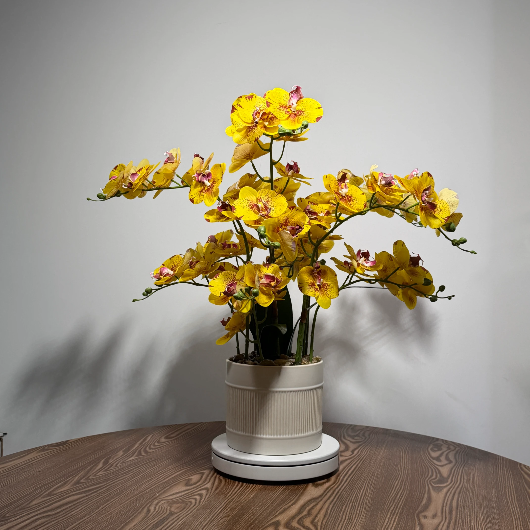 HD0043 (2) profile - Arranjo de Orquídea Amarela Pontilhada