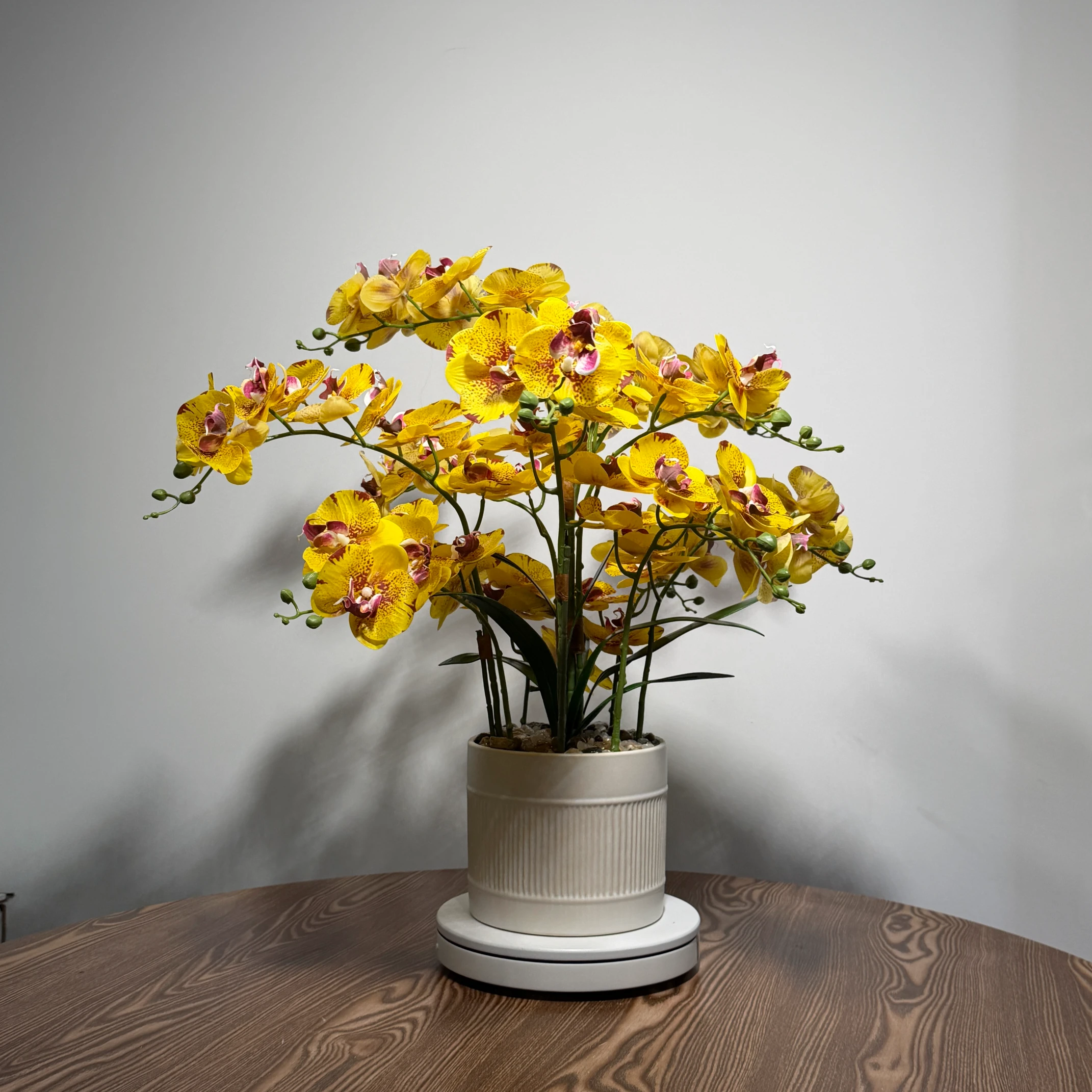 HD0043 (3) - Arranjo de Orquídea Amarela Pontilhada