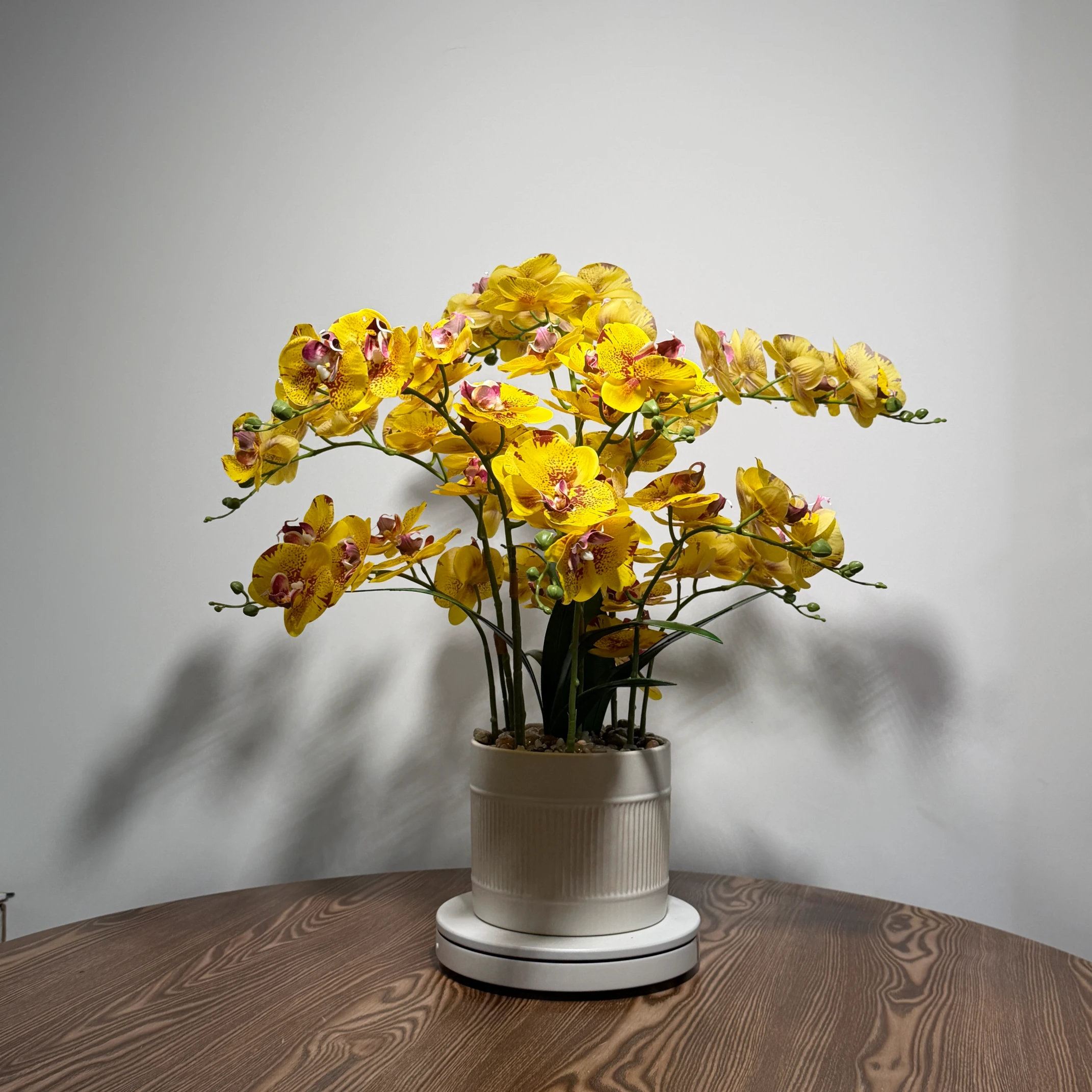 HD0043 (4) - Arranjo de Orquídea Amarela Pontilhada