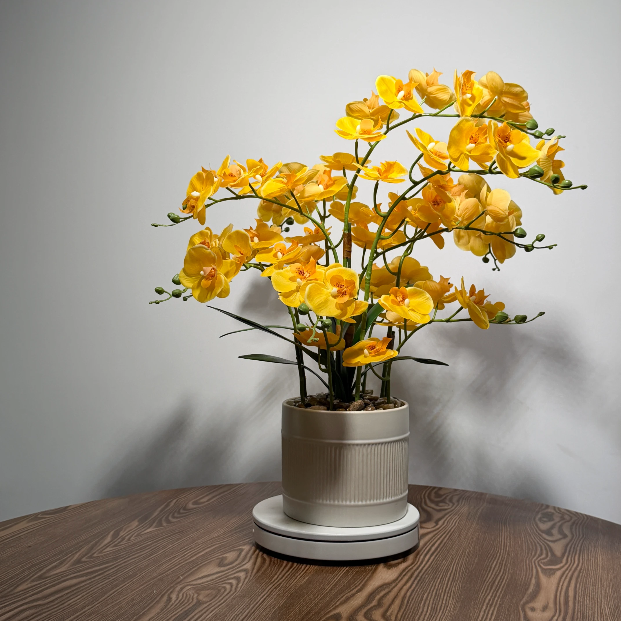 HD0045 (3) - Arranjo de Orquídea Amarela Vibrante