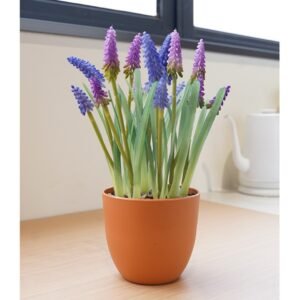 Muscari Artificial Colorido em Vaso de Papel