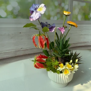 SE0026 (20) Arranjo de Suculentas e Flores Silvestres